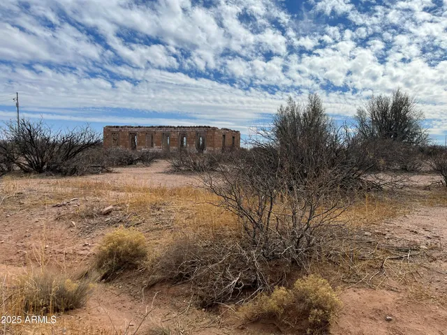 a view of a yard with trees
