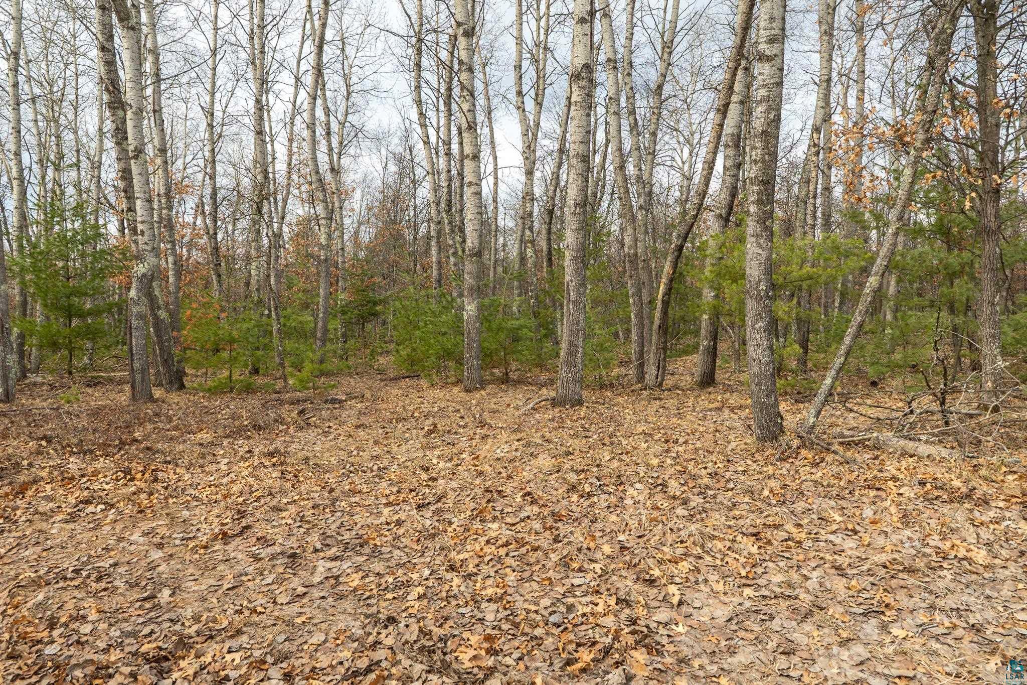 Lot 3 South Madison Avenue Gordon, WI 54838 - Photo 6 of 9