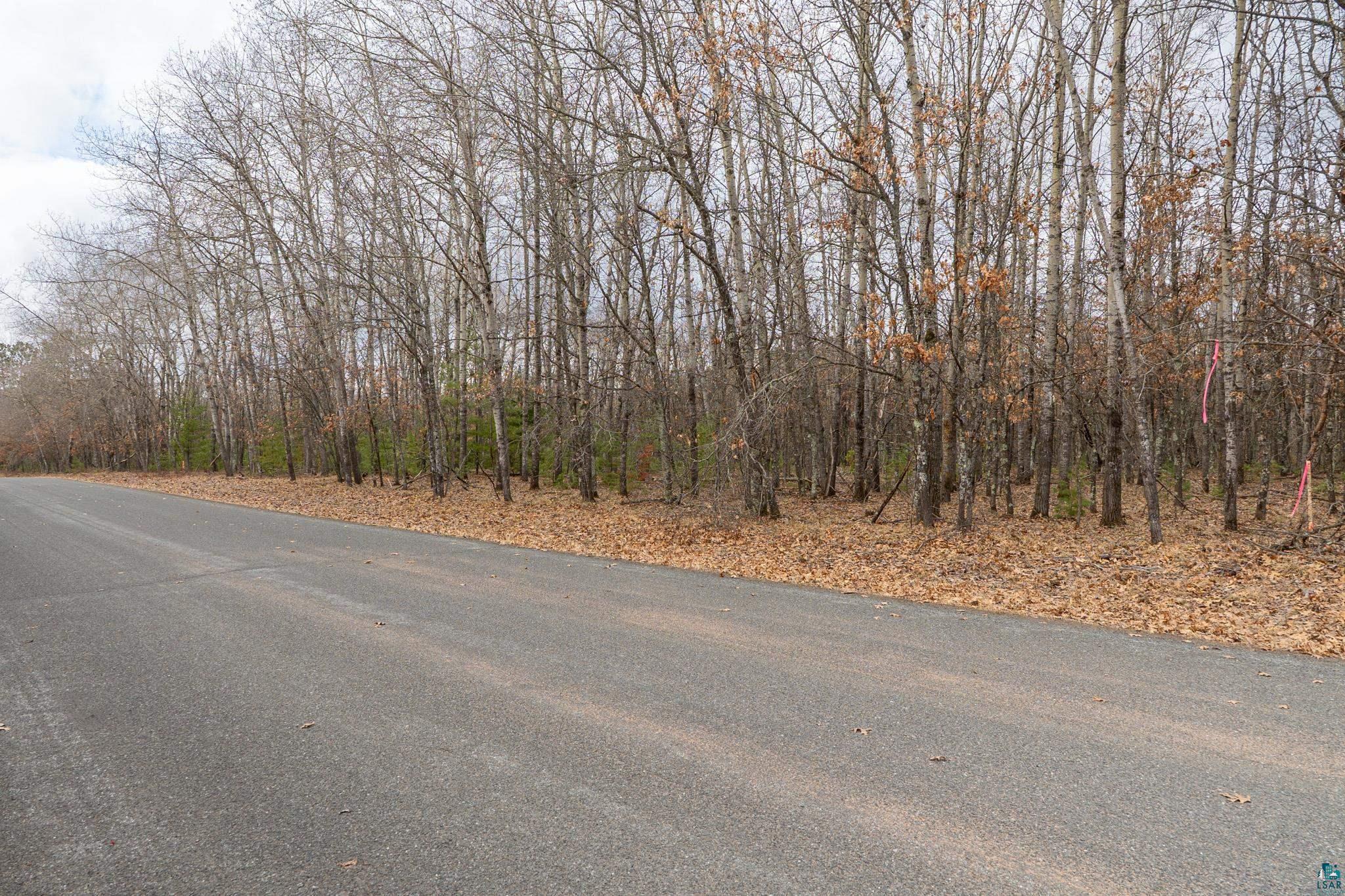 Lot 3 South Madison Avenue Gordon, WI 54838 - Photo 8 of 9