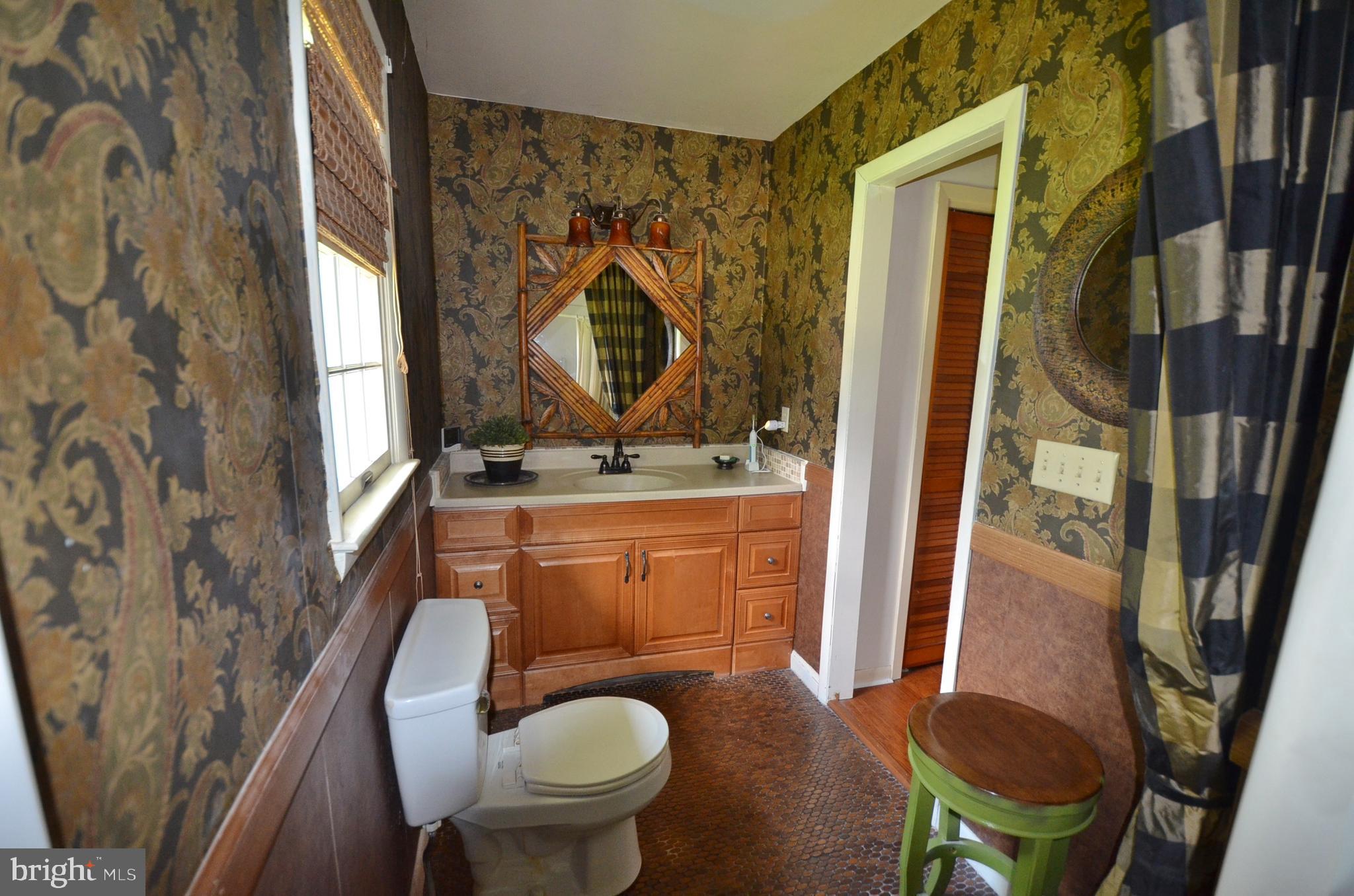 1514 New Bridge Road Pocomoke City, MD 21851 - Photo 67 of 96 Master bath