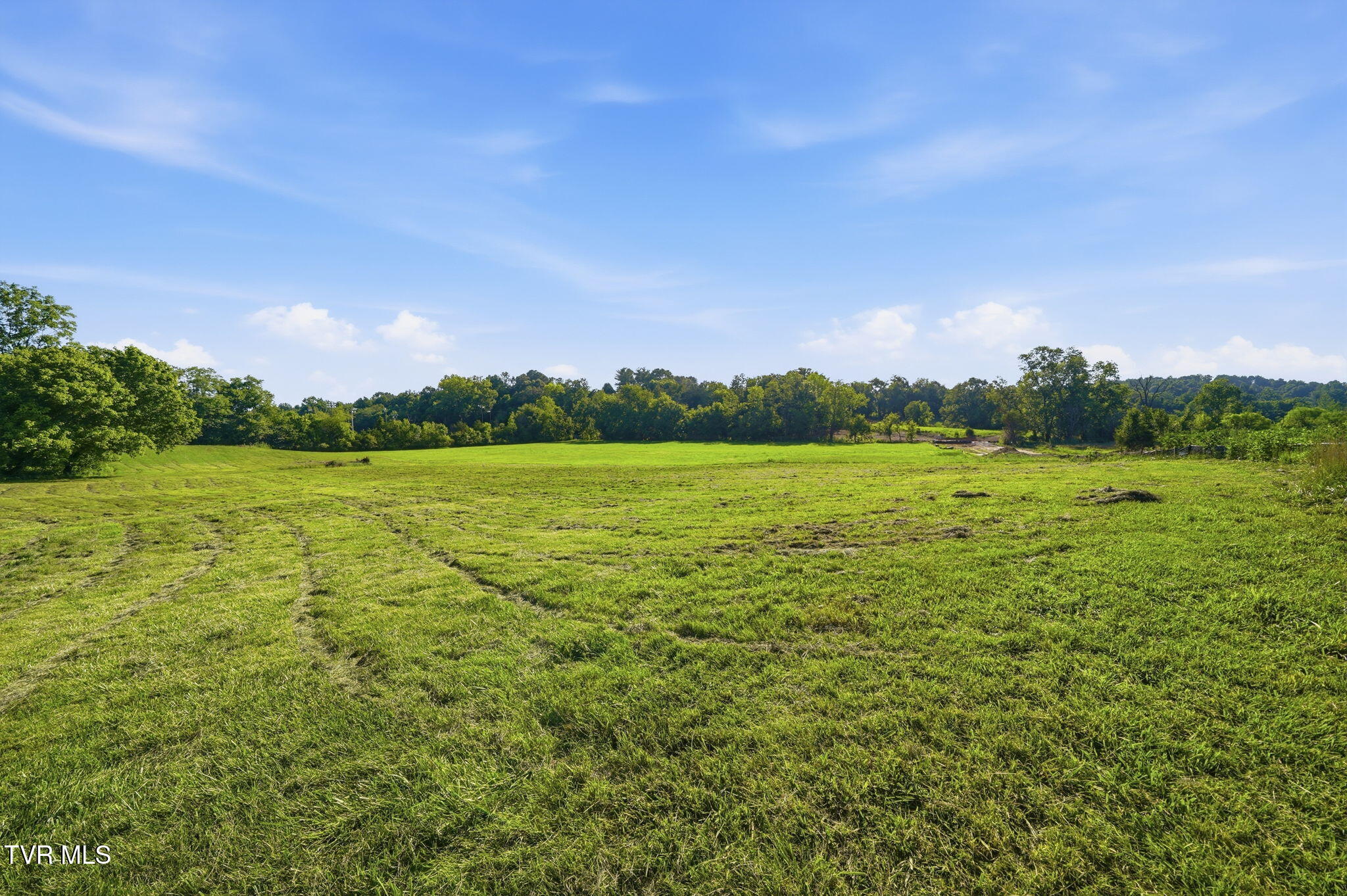 141 Kitzmiller Road Gray, TN 37615 - Photo 95 of 100 117-web-or-mls-012_JH 20260702-266