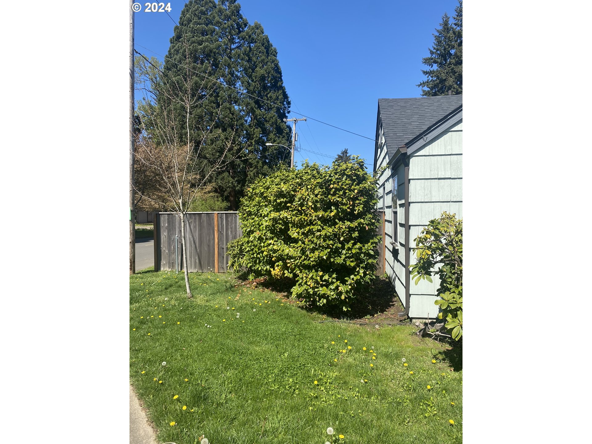 395 Irving Road Eugene, OR 97404 - Photo 29 of 37 a view of a garden