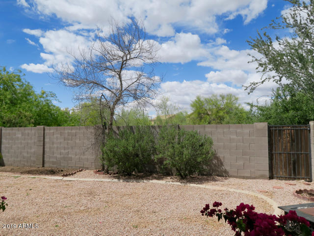 10442 East Butte Street Apache Junction, AZ 85120 - Photo 18 of 49 a view of a backyard