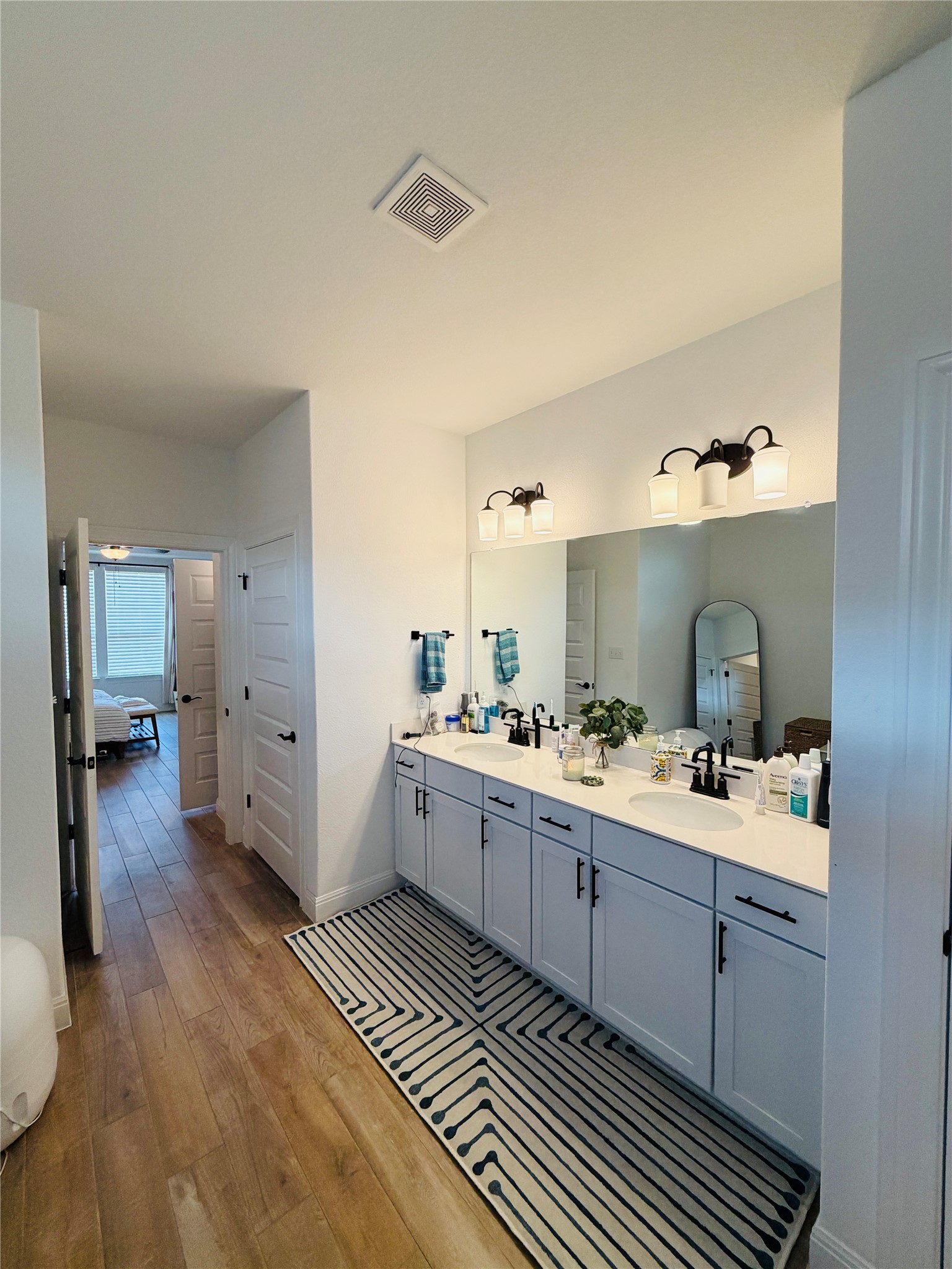 268 Fish Trap Road Dripping Springs, TX 78620 - Photo 13 of 23 A long double vanity with stone counters anchors this spacious, light-filled bathroom.