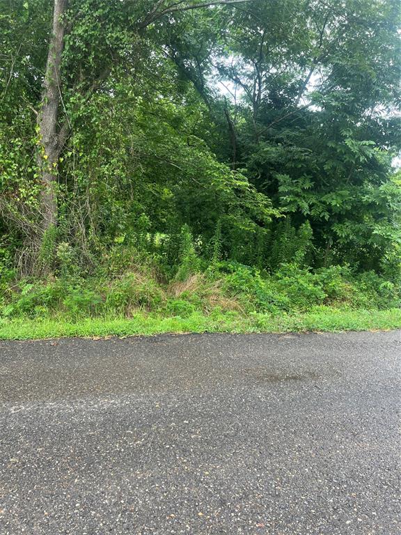 0 Albert Lewis Way Mansfield, LA 71052 - Photo 7 of 7