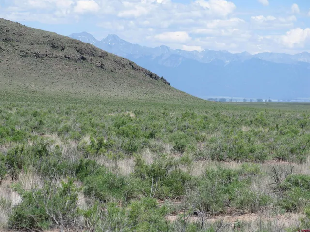 a view of a dry field with lots of bushes
