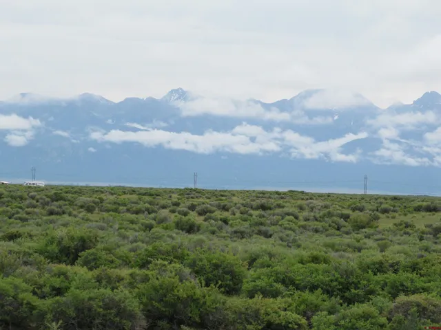 a view of a big yard