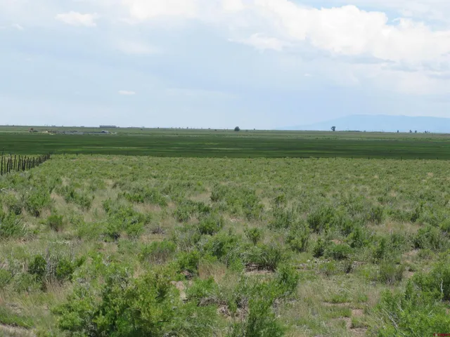 a view of a green field with an ocean view