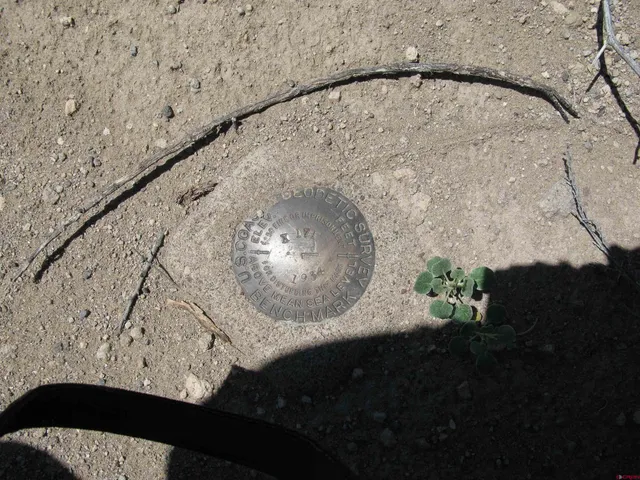 a view of a wooden floor