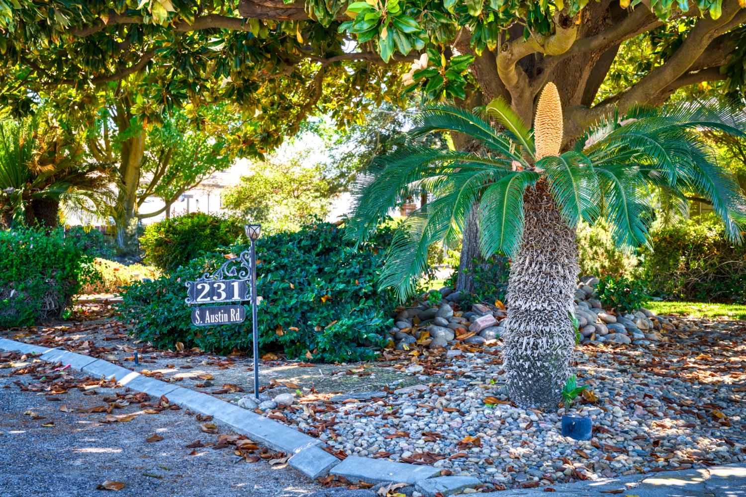 231 South Austin Road Manteca, CA 95336 - Photo 1 of 39