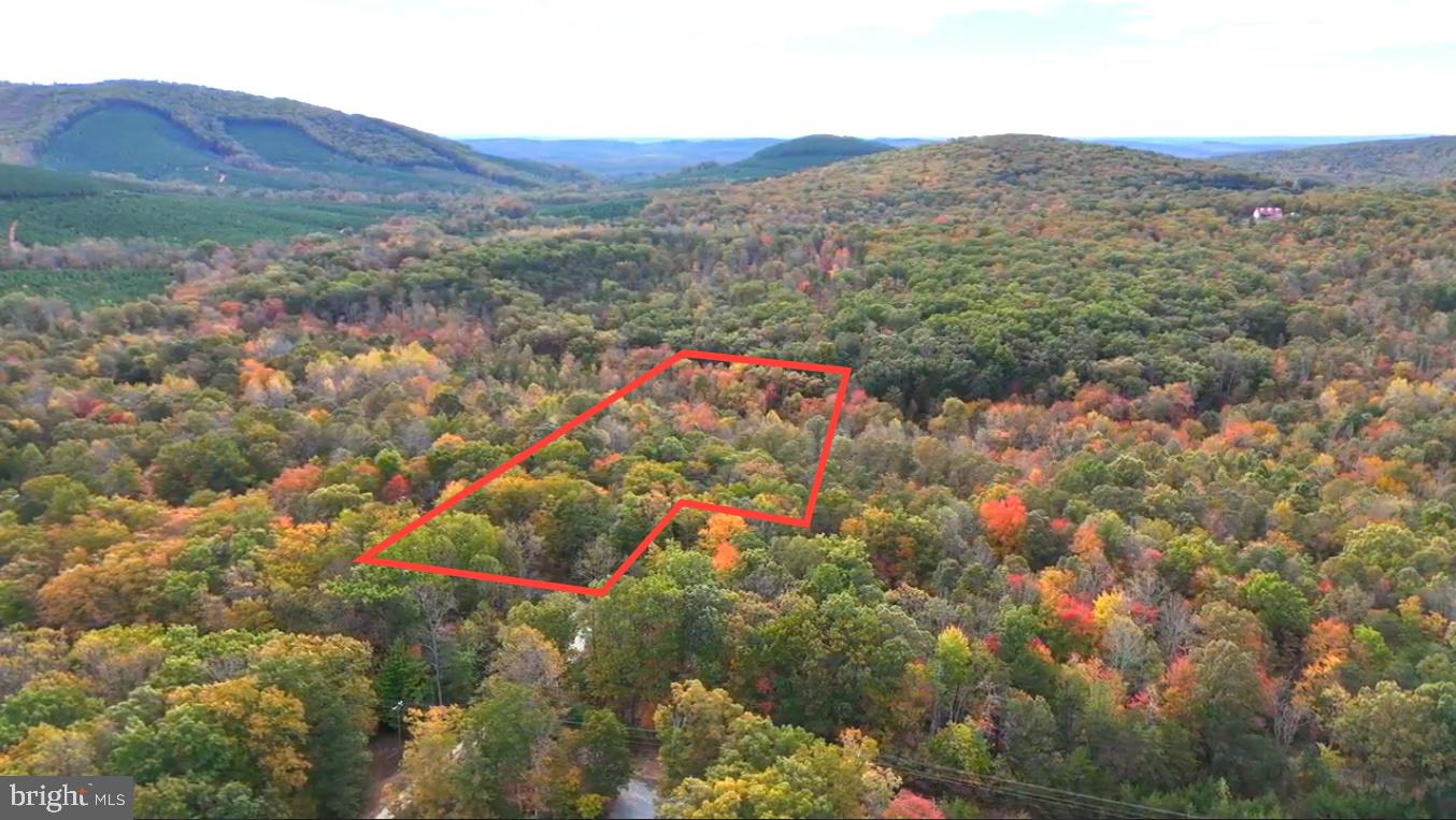 Lot 1 Laurel Road Shipman, VA 22971 - Photo 15 of 16