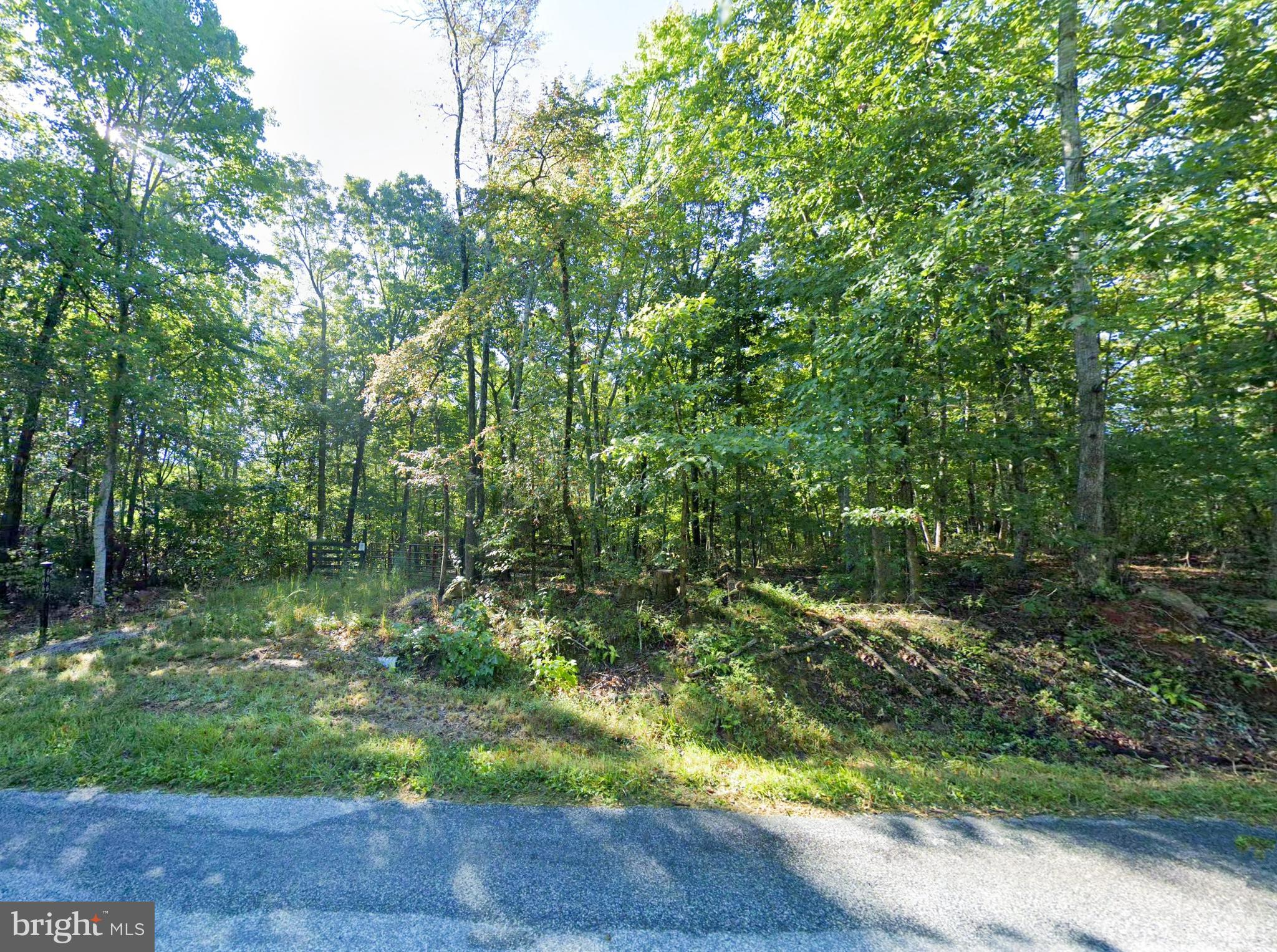 Lot 1 Laurel Road Shipman, VA 22971 - Photo 2 of 16