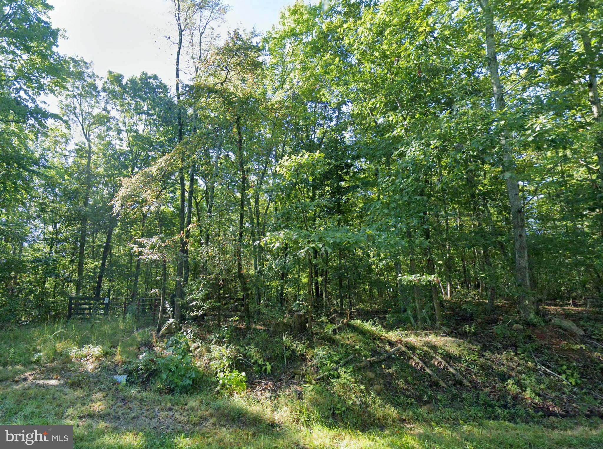 Lot 1 Laurel Road Shipman, VA 22971 - Photo 4 of 16