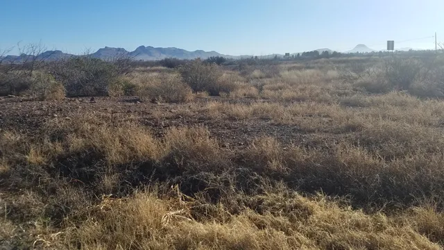 $350,000 | 80 Douglas Az 85607, Unit ''', Douglas, AZ 85607