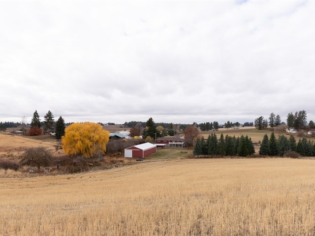 11128 North Morrison Road Spokane, WA 99217 - Photo 18 of 20