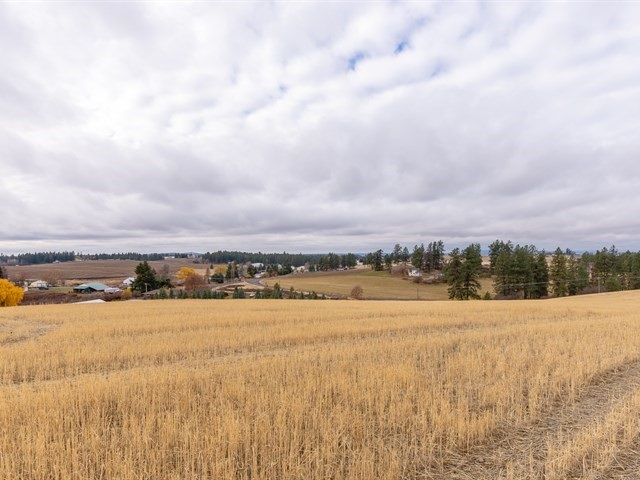 11128 North Morrison Road Spokane, WA 99217 - Photo 19 of 20