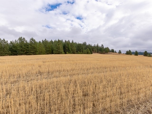 11128 North Morrison Road Spokane, WA 99217 - Photo 20 of 20