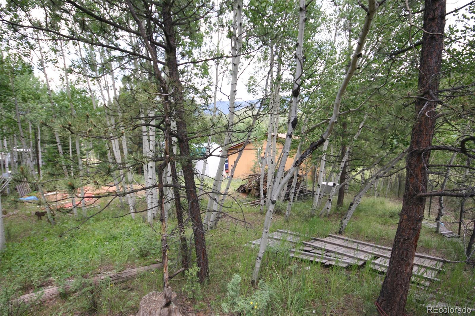 300 Bartimous Road Bailey, CO 80421 - Photo 17 of 24 Gallery Image 17