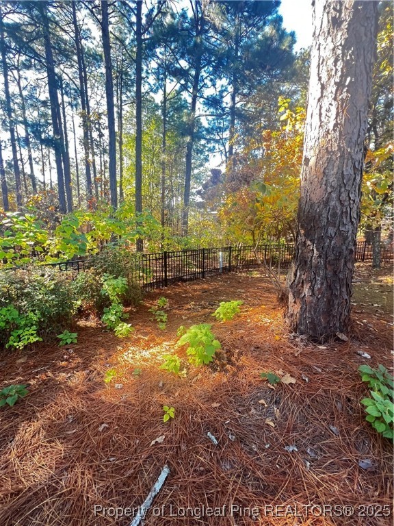 208 Wood Run Sanford, NC 27332 - Photo 25 of 29