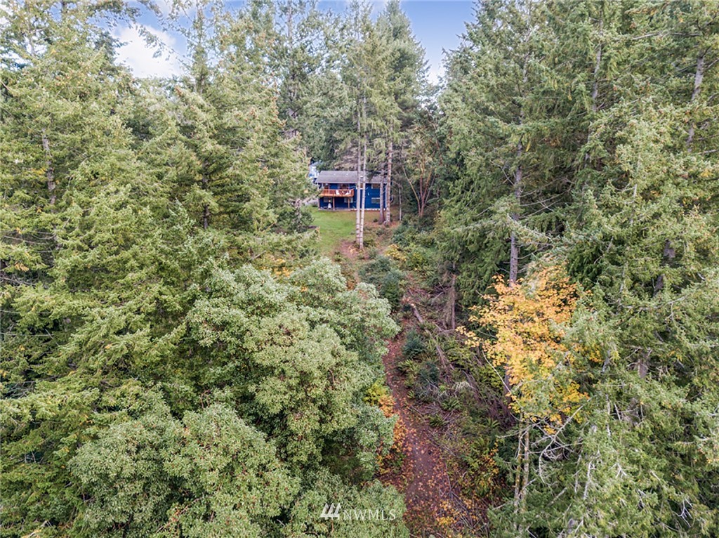 2507 Rocky Point Road Northwest Bremerton, WA 98312 - Photo 24 of 31 a view of a dry yard with large trees