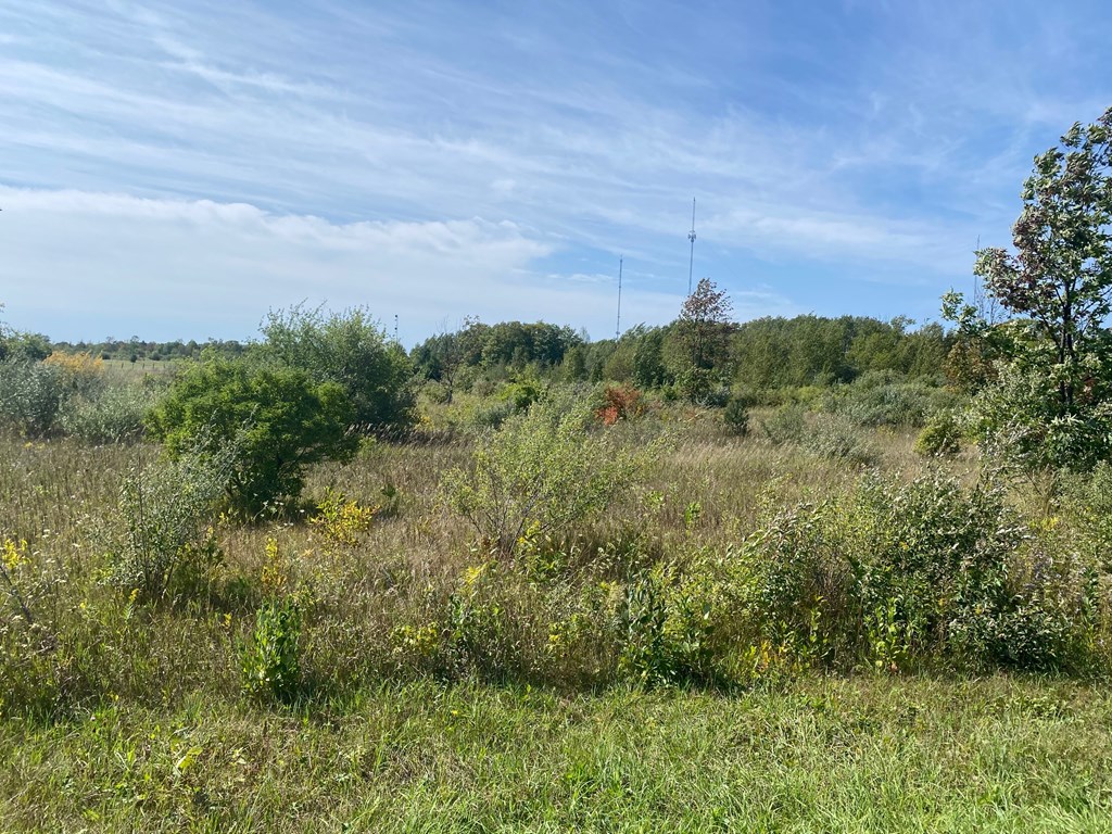 Tbd Humbug Road Ellison Bay, WI 54210 - Photo 6 of 11