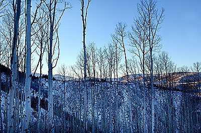 2300 Cresta Road Edwards, CO 81632 - Photo 3 of 3 a view of a backyard