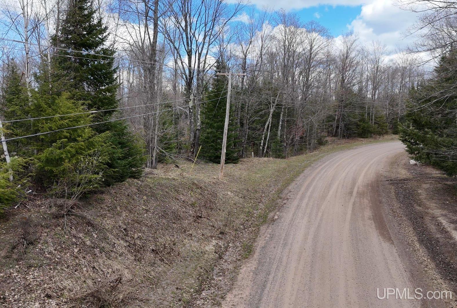 Tbdne Dog Patch Road Lanse, MI 49946 - Photo 10 of 23