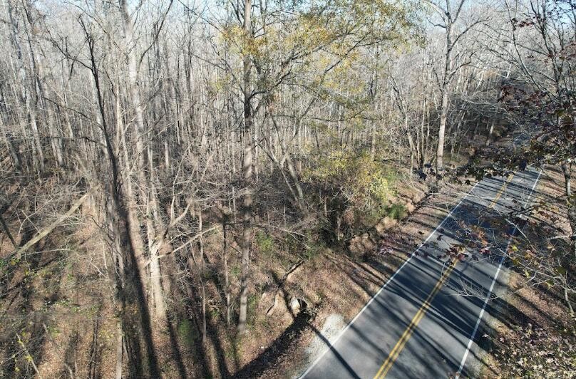 0 Sanford Road Henderson, TN 38340 - Photo 13 of 15 Gallery Image 13