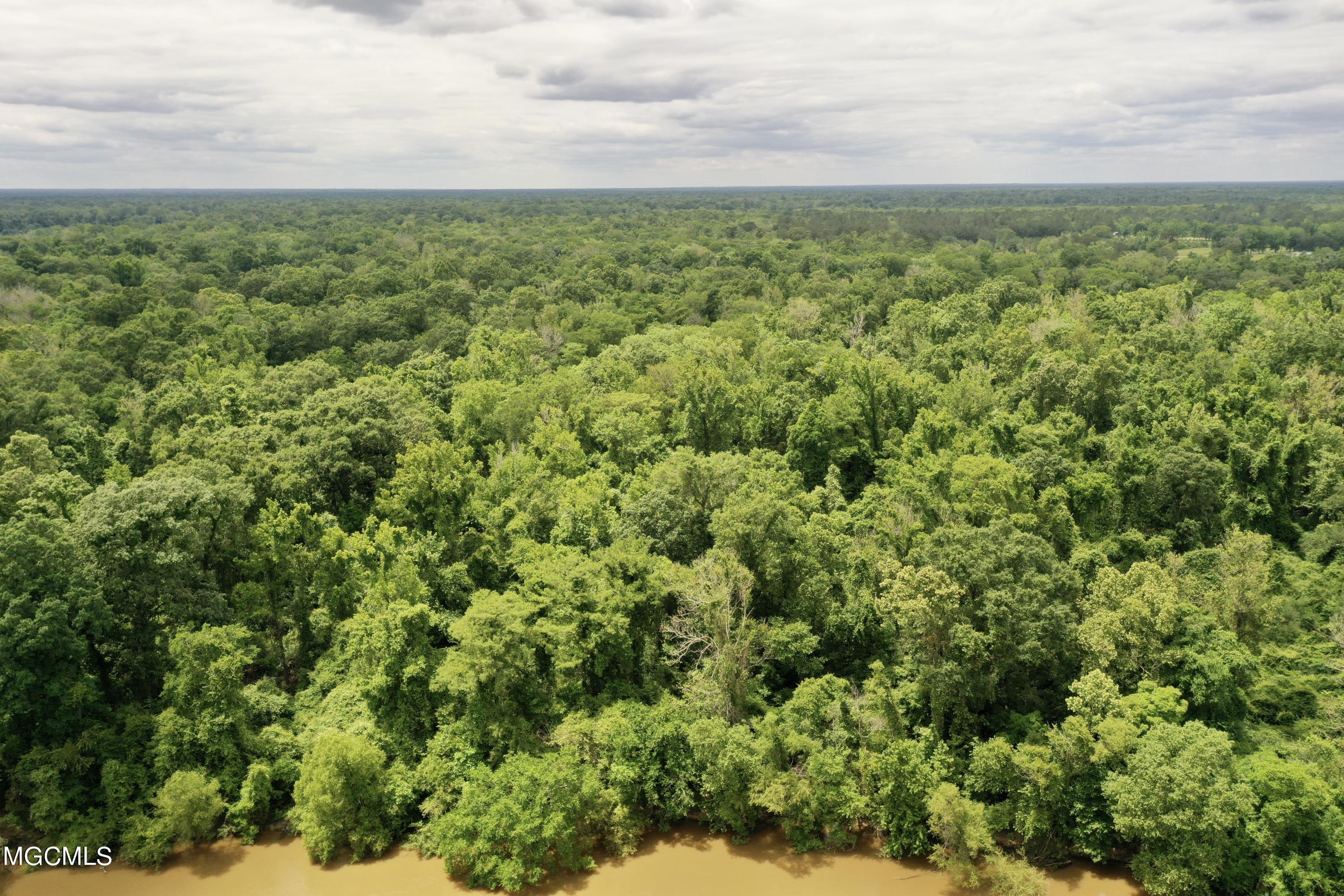 76 Oak Point Road Picayune, MS 39466 - Photo 19 of 36 01566D180C635C50CDF1D0244F8D7CC5