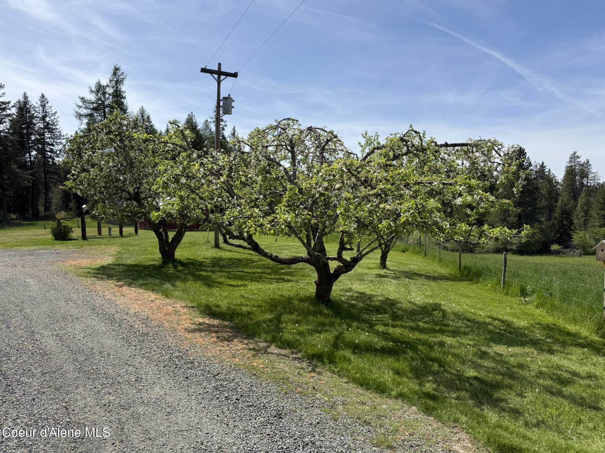 10334 Sanders Road Tensed, ID 83870 - Photo 27 of 69 IMG_7983