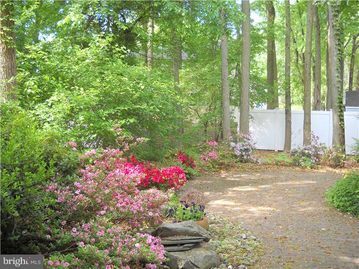 728 Decatur Drive Mount Laurel, NJ 08054 - Photo 3 of 20 Back Yard
