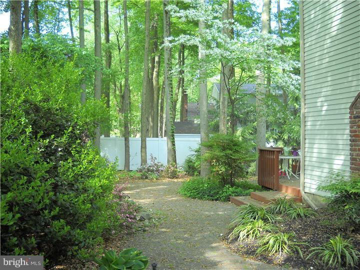 728 Decatur Drive Mount Laurel, NJ 08054 - Photo 5 of 20 Back Yard