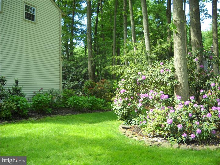 728 Decatur Drive Mount Laurel, NJ 08054 - Photo 6 of 20 Exterior