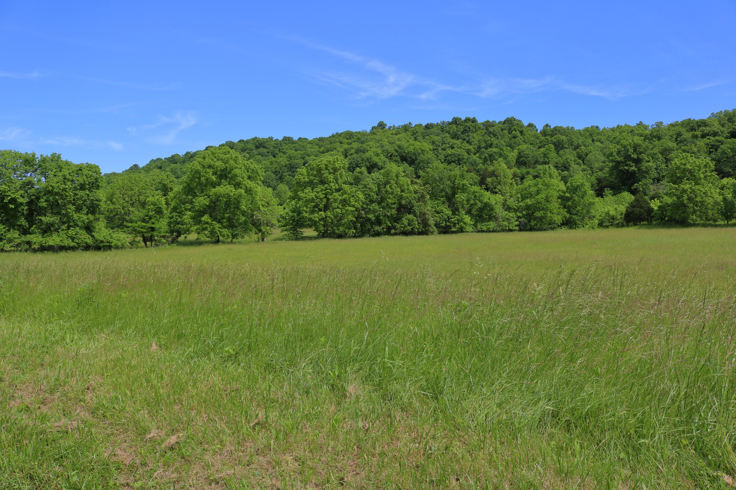 25.78 McDonald Ferry Road Frankfort, KY 40601 - Photo 6 of 14
