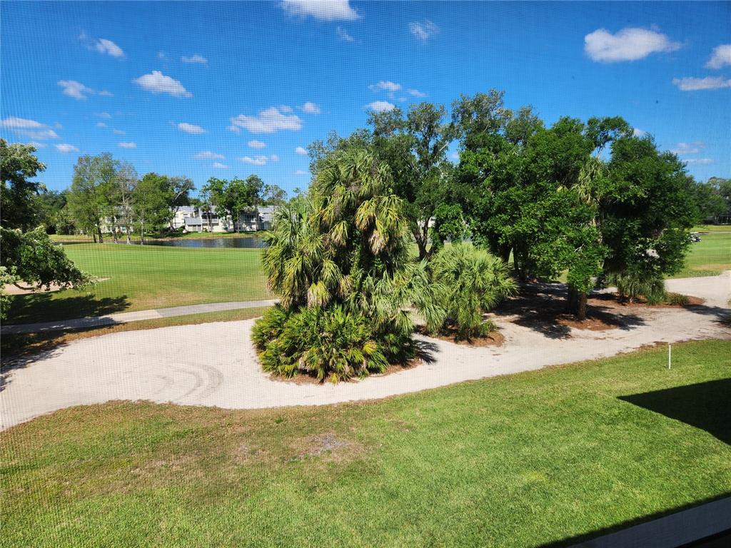 6501 Stone River Road, Unit 303 Bradenton, FL 34203 - Photo 16 of 30 a view of a lake with a yard
