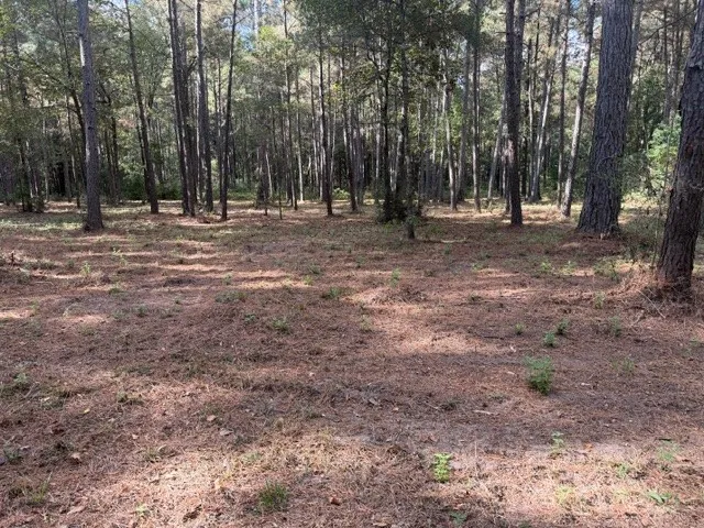 a view of outdoor space with trees