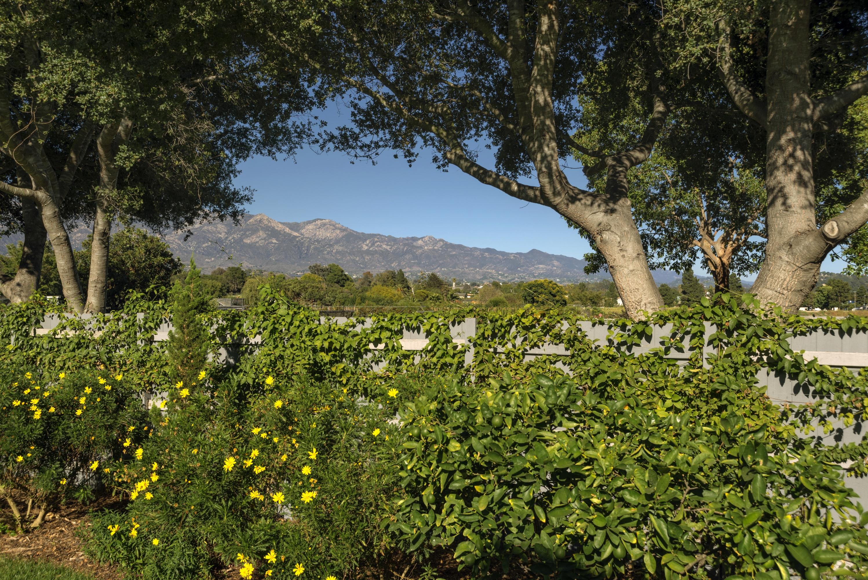 142 Ranch Lane Santa Barbara, CA 93111 - Photo 7 of 7 _NIK1392