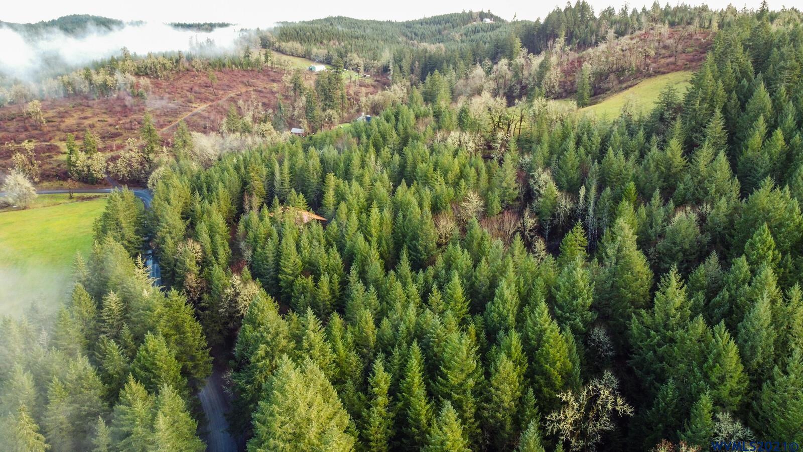 4736 Liberty Road Dallas, OR 97338 - Photo 10 of 21 a view of a lush green forest with trees and houses