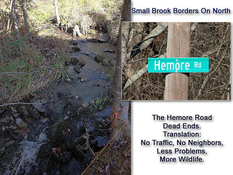 353 South Hemore Road Houlton, ME 04730 - Photo 32 of 35 brook