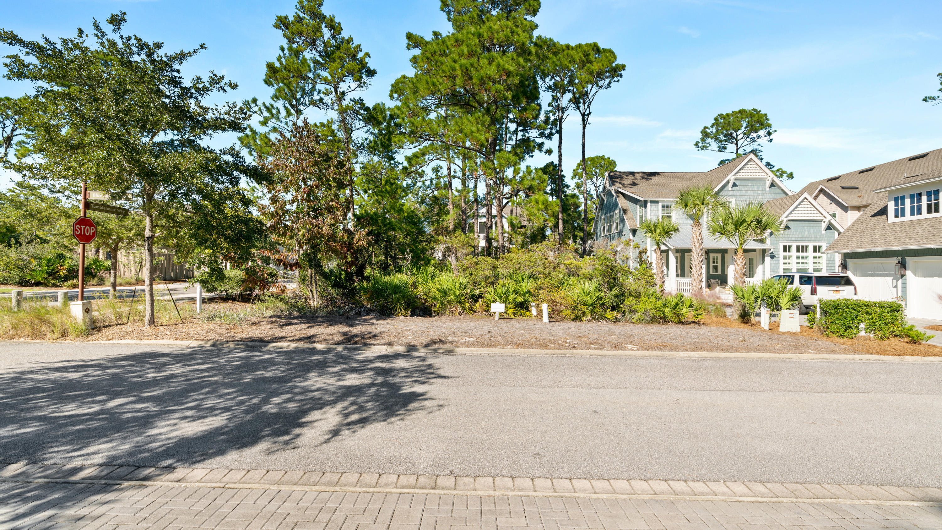 Lot 89 Blue Moon Lane Santa Rosa Beach, FL 32459 - Photo 3 of 22 Entry from Street