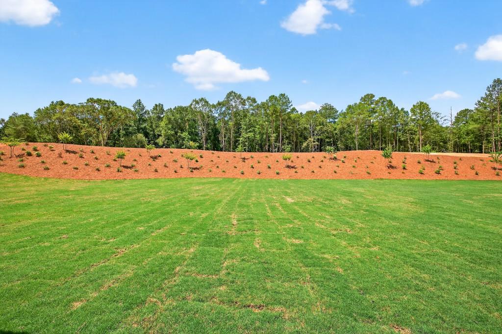 1275 P J East Road Covington, GA 30014 - Photo 46 of 69