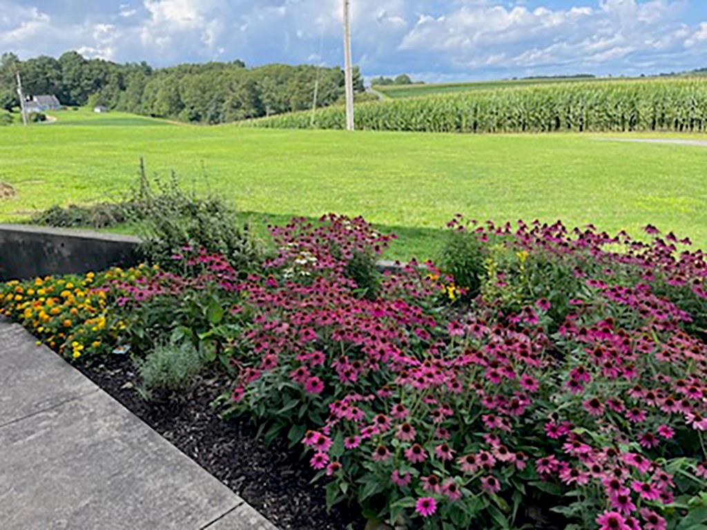 175 Jody Drive Penn Run, PA 15765 - Photo 27 of 27 a view of a garden with a flower garden