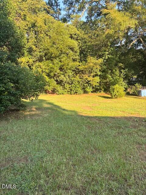 108 Lumpkin Street Raleigh, NC 27610 - Photo 3 of 3 back yard-108 Lumpkin