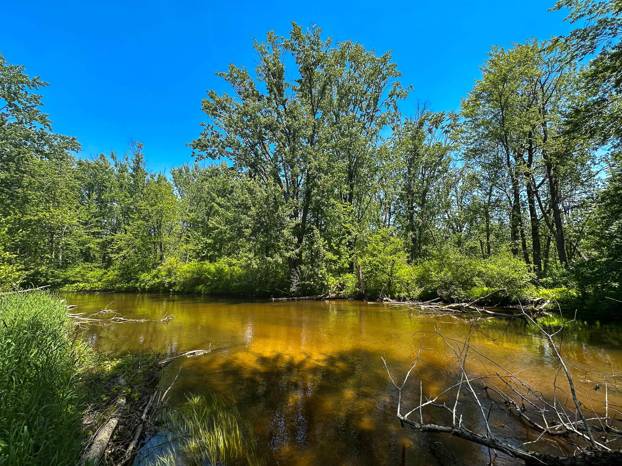 3804 East Wilson Road Custer, MI 49405 - Photo 1 of 39 R Tree