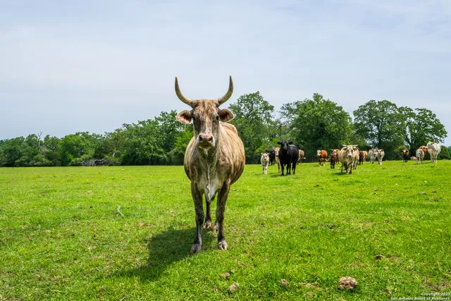 $2,170,000 | 3671 County Road 455, Thorndale, TX 76577