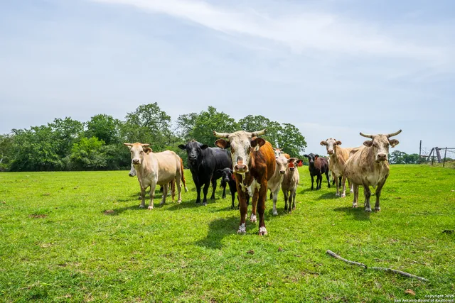 $2,170,000 | 3671 County Road 455, Thorndale, TX 76577