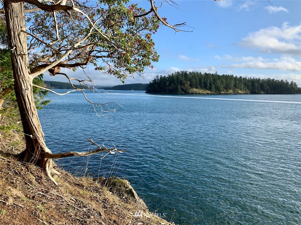 0 Spring Point Road Orcas Island, WA 98245 - Photo 2 of 36