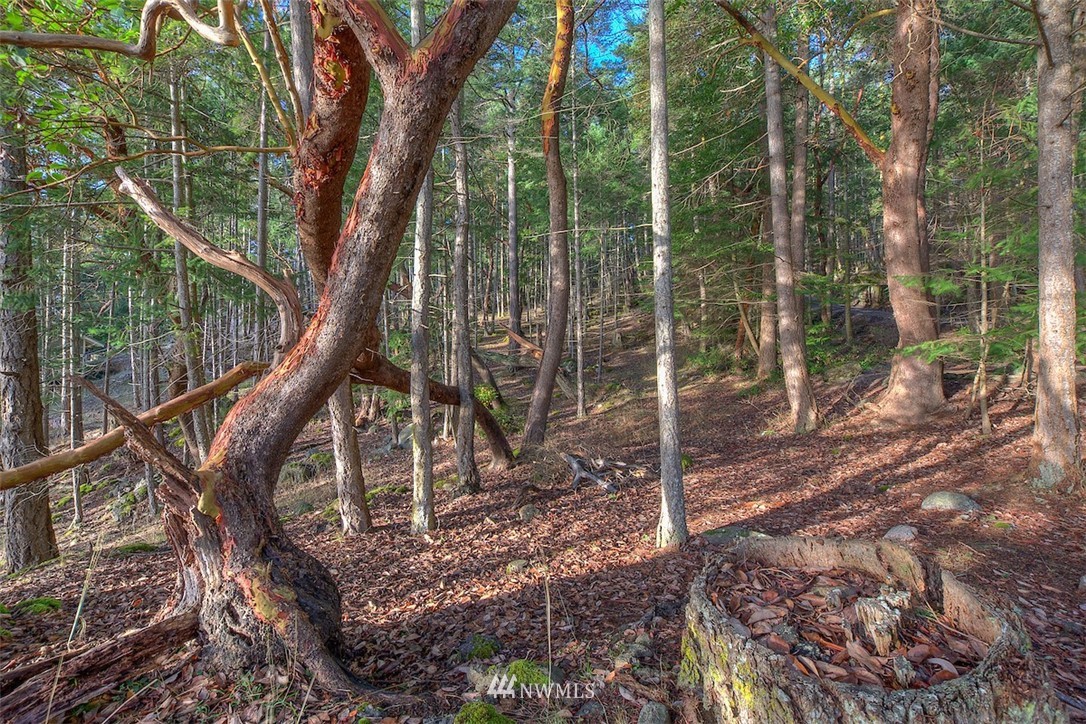 0 Spring Point Road Orcas Island, WA 98245 - Photo 11 of 36