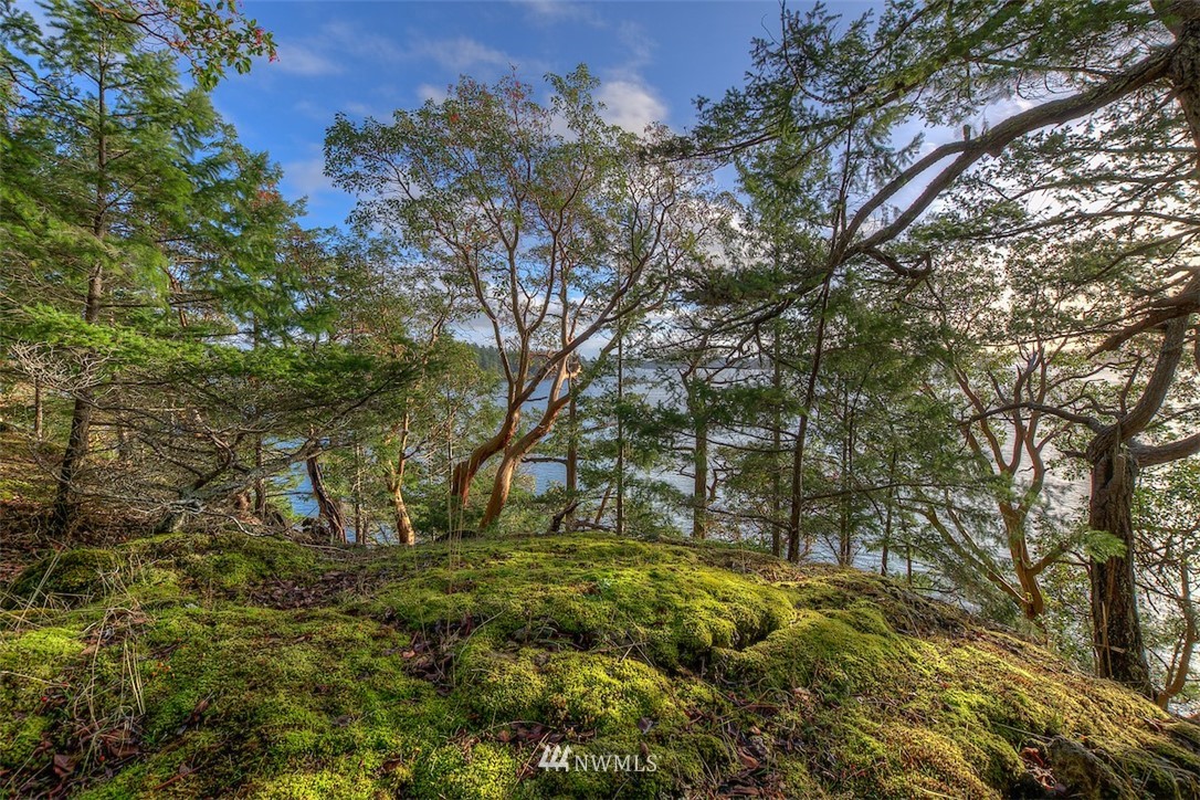 0 Spring Point Road Orcas Island, WA 98245 - Photo 12 of 36