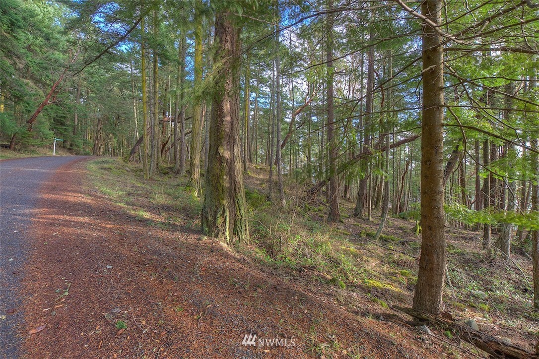 0 Spring Point Road Orcas Island, WA 98245 - Photo 13 of 36